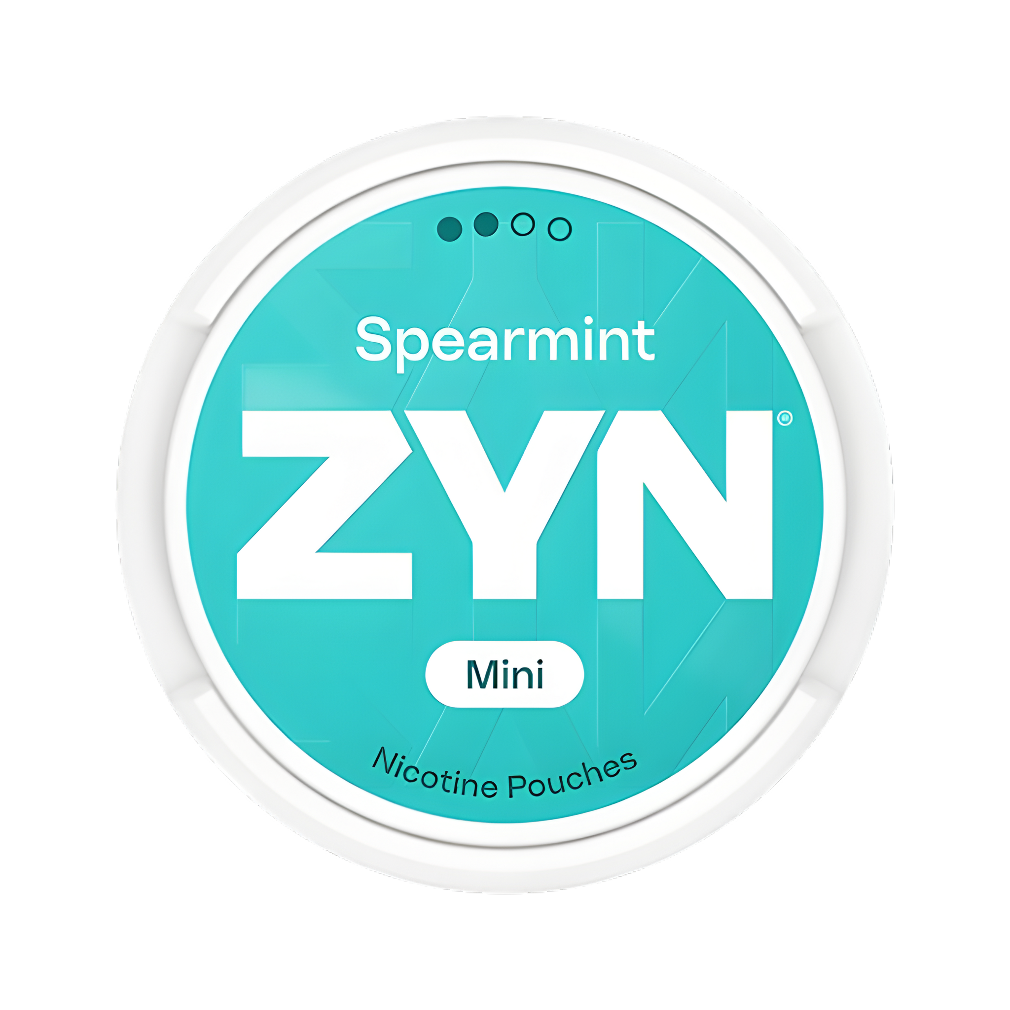 ZYN Spearmint Mini