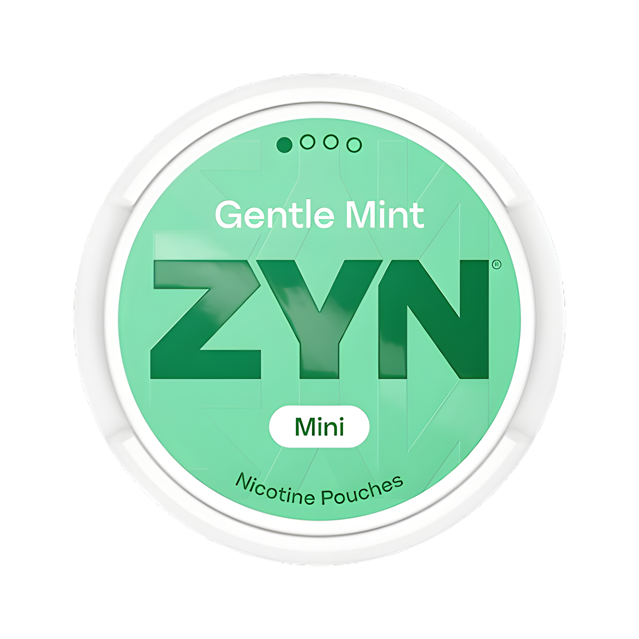 ZYN Gentle Mint Mini Low